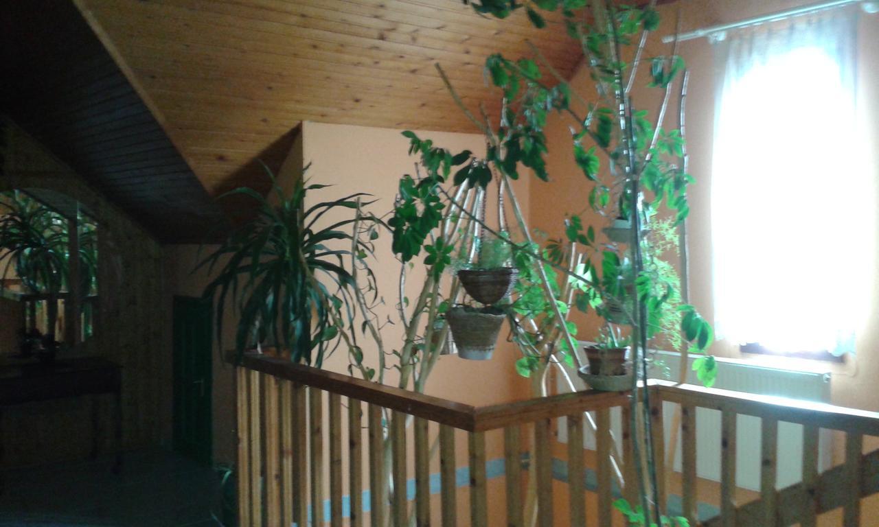 Kisdiofa Panzio Es Vendeglo Bed & Breakfast Vajdácska Exterior photo